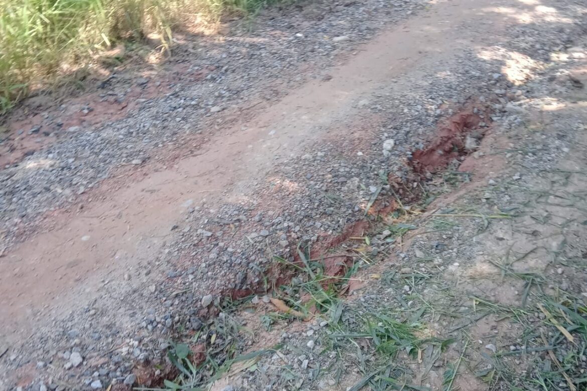 São Roque Notícias