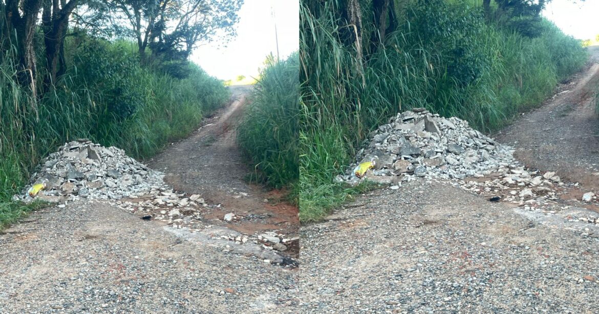 São Roque Notícias