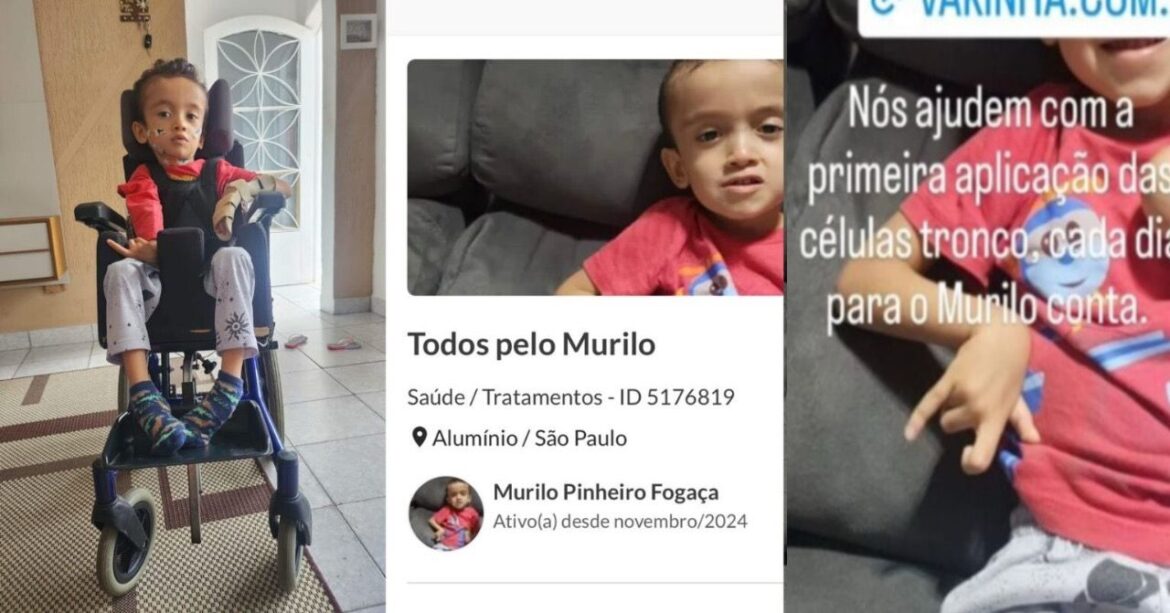 São Roque Notícias