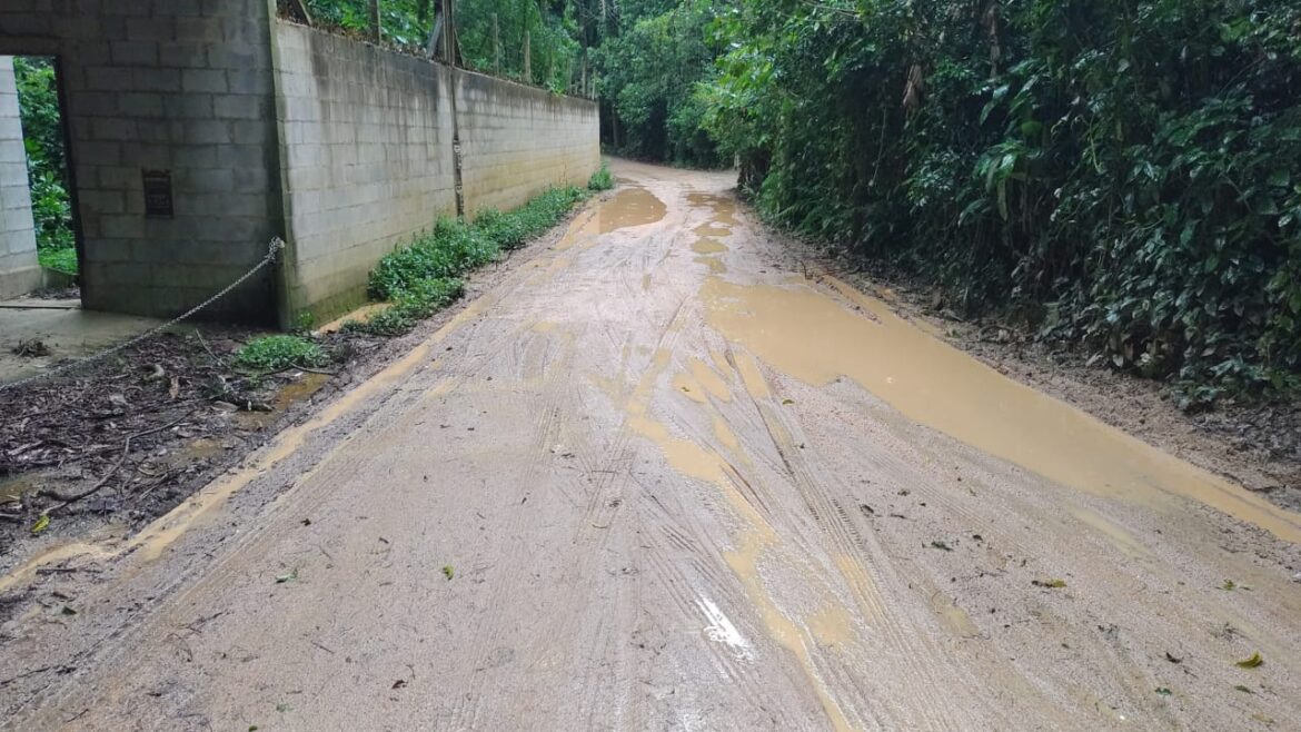 Imagem do WhatsApp de 2025-06-12 à(s) 12.38.19_1f12e378